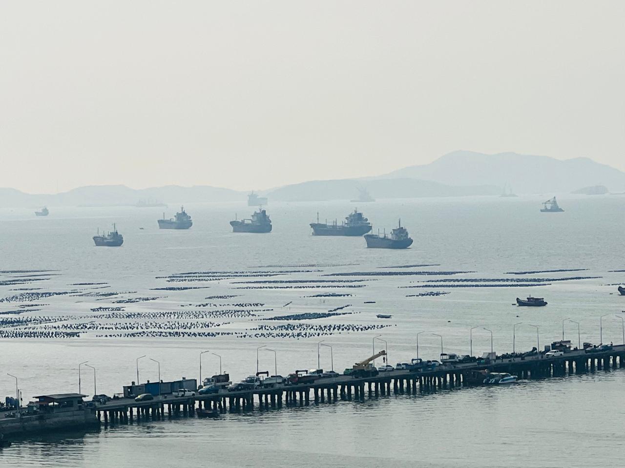 Blue economy and marine tech campaign — marine bio-industry and farming
